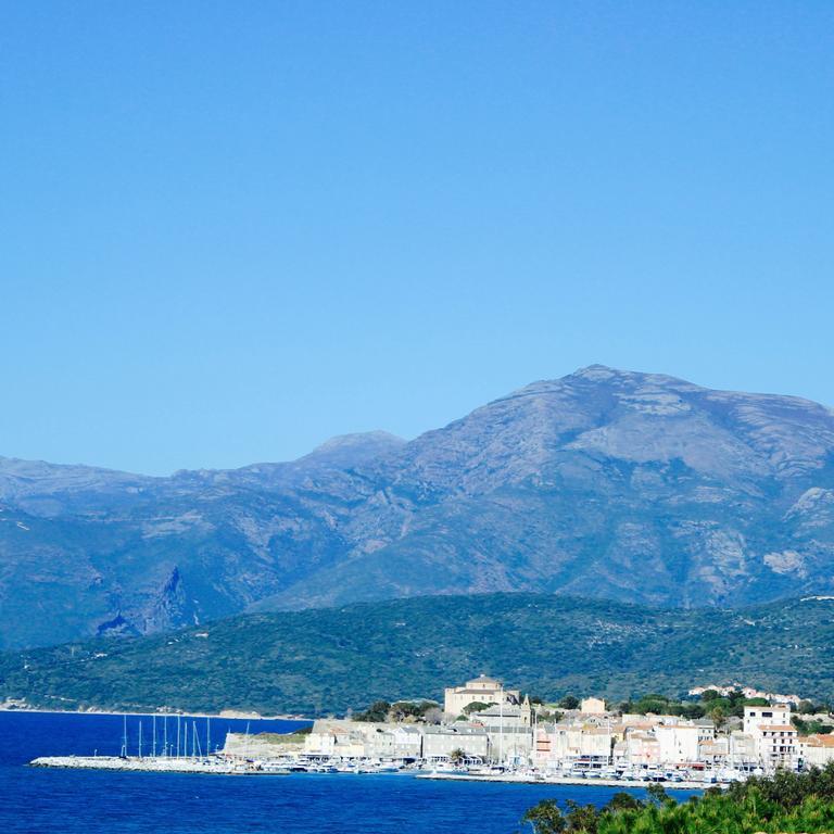 Suarella