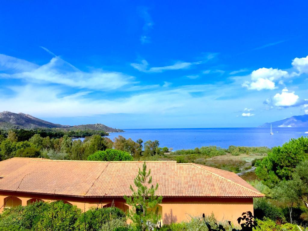 Suarella Apartment Saint-Florent (Corsica)